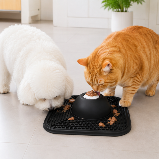 LittleFurBuddy - Essential Slow Feeder Lick Mat 2-in-1 for Cats & Dogs